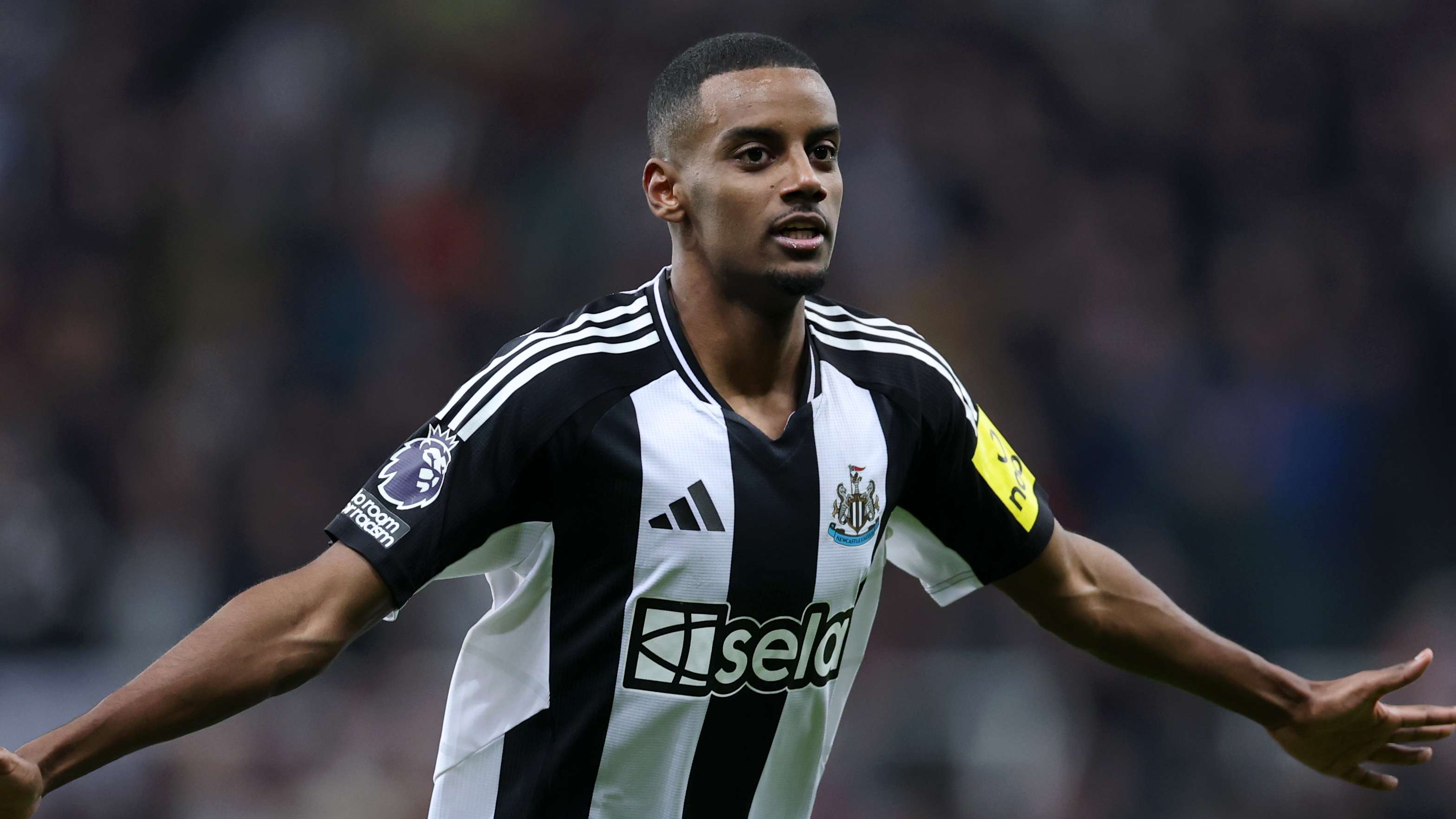 挑选时需要 挑选时需要