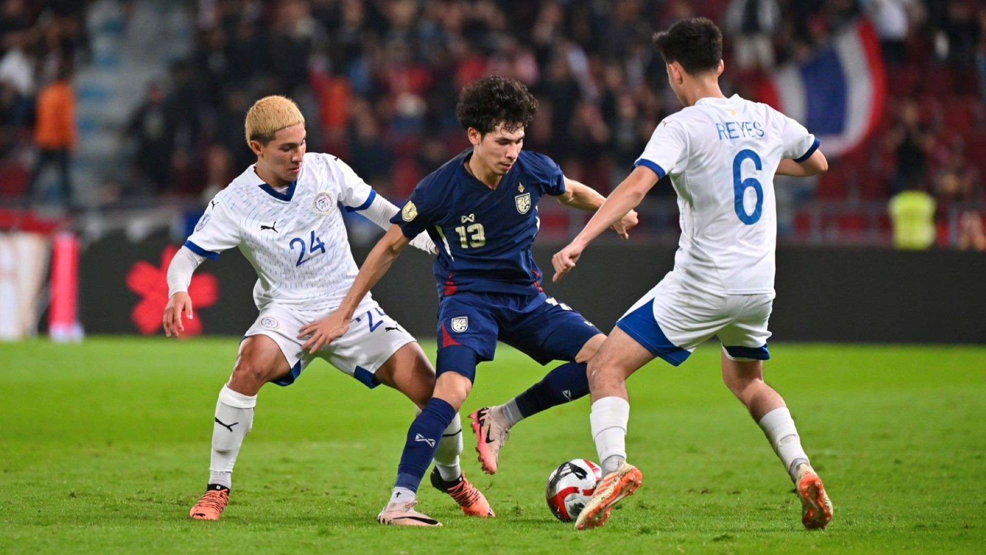 凭借顽强的 凭借顽强的